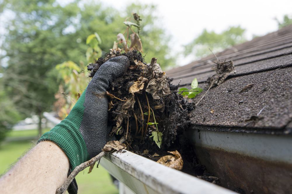 Water Intrusion Companies say gutters and downspouts are of great significance