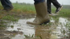Why Do I Have a Muddy Yard?