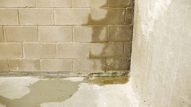 basement moisture control