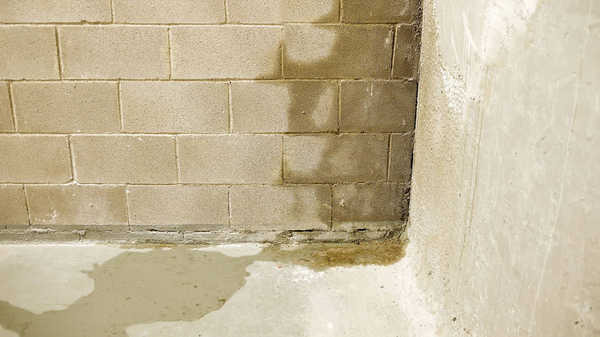 basement moisture control