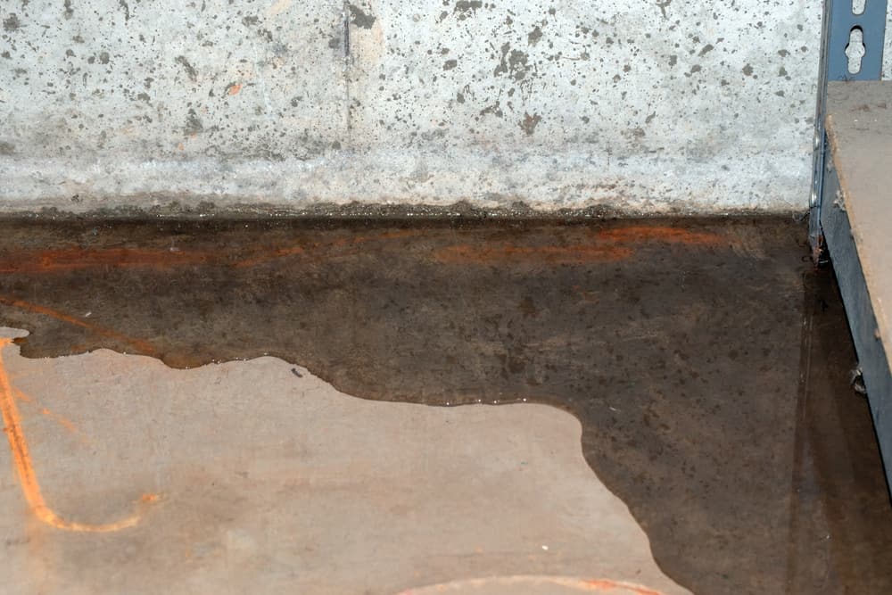 Common Causes Of Basement Moisture In Raleigh, NC, And How Waterproofing Can Help