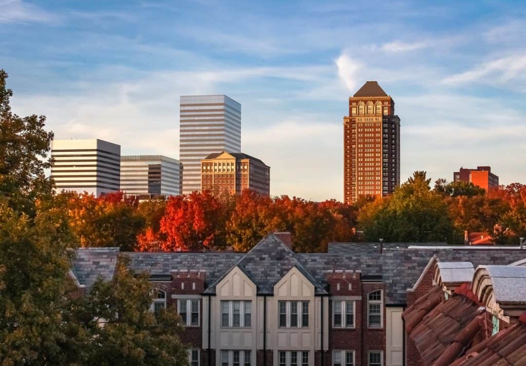 A city skyline featuring modern high-rise buildings rising above colorful autumn trees.